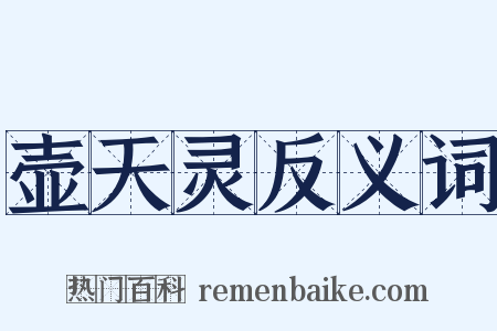 壶天灵反义词是什么意思的图片